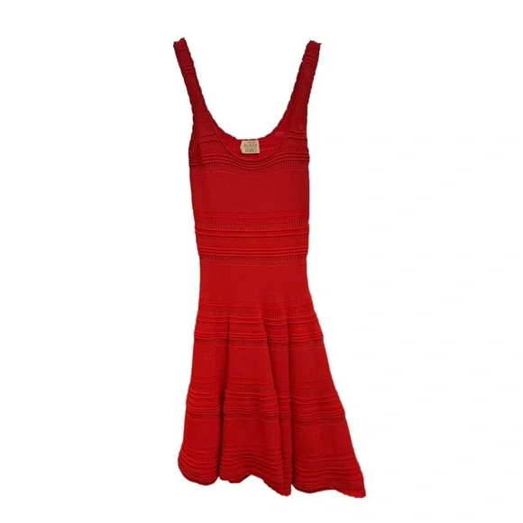 Torn by Ronny Kobo Alberta Dress XS